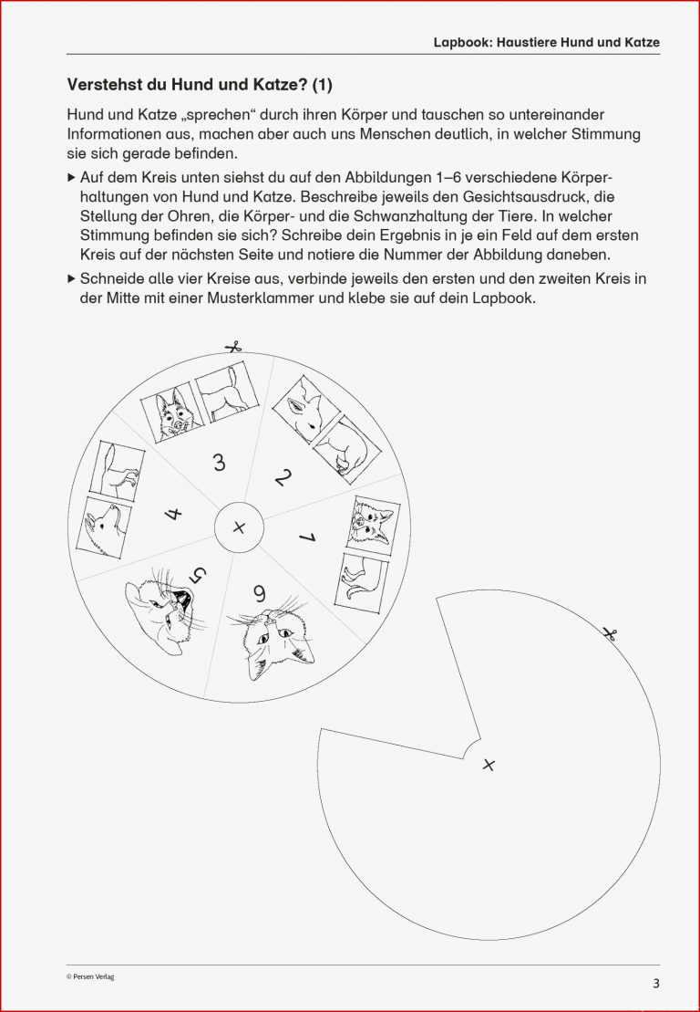 Sekundarstufe I Unterrichtsmaterial Biologie Tiere