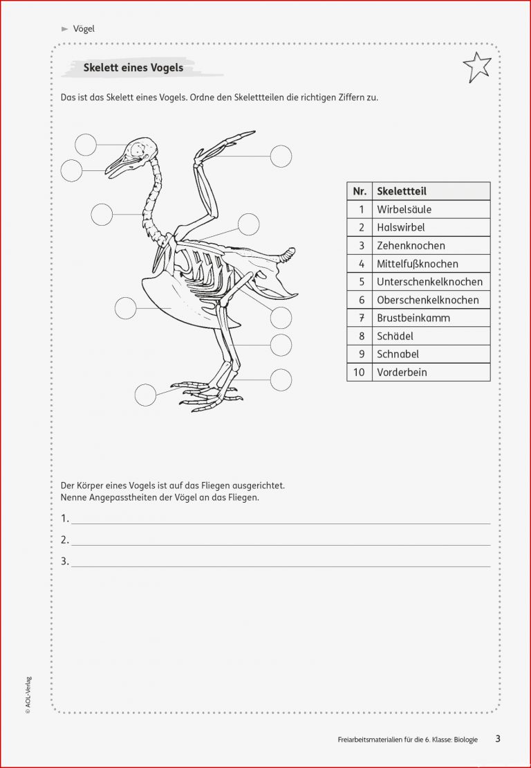 Sekundarstufe I Unterrichtsmaterial Biologie Tiere