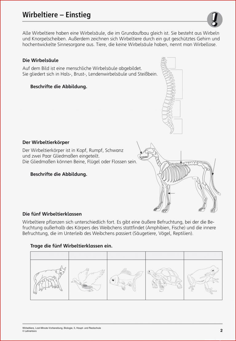 Sekundarstufe I Unterrichtsmaterial Biologie Tiere