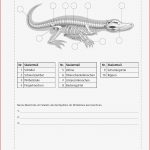 Sekundarstufe I Unterrichtsmaterial Biologie Tiere