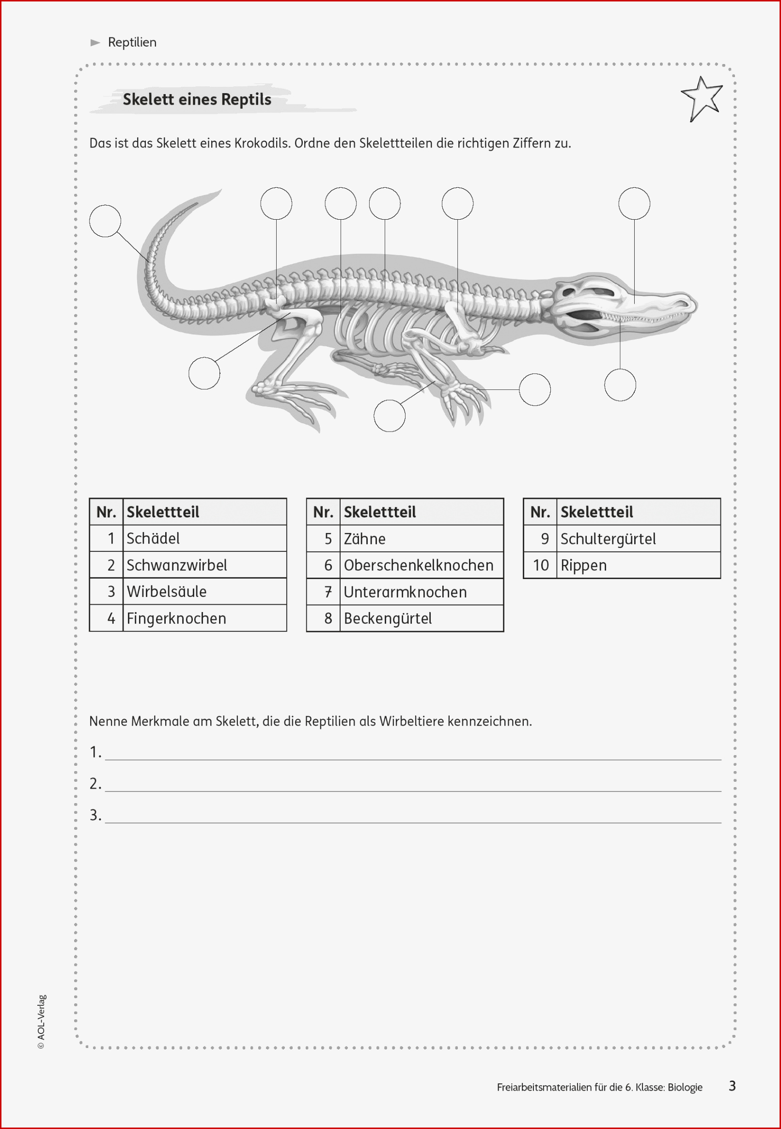 Sekundarstufe I Unterrichtsmaterial Biologie Tiere