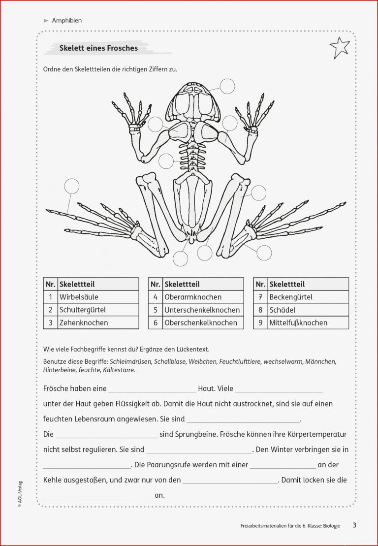 Sekundarstufe I Unterrichtsmaterial Biologie Tiere