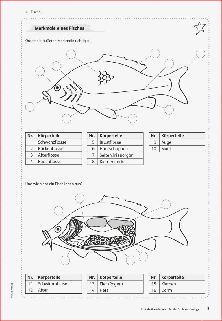 Sekundarstufe I Unterrichtsmaterial Biologie Tiere