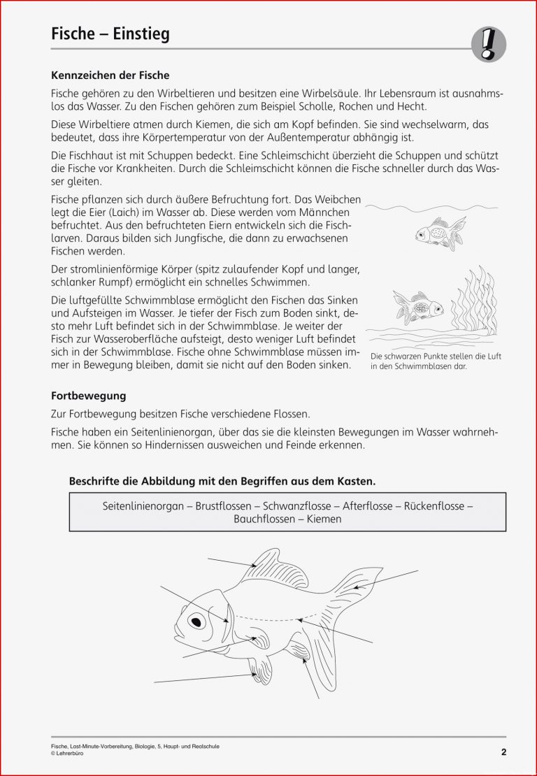 Sekundarstufe I Unterrichtsmaterial Biologie Tiere