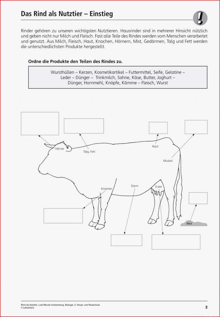 Sekundarstufe I Unterrichtsmaterial Biologie Tiere