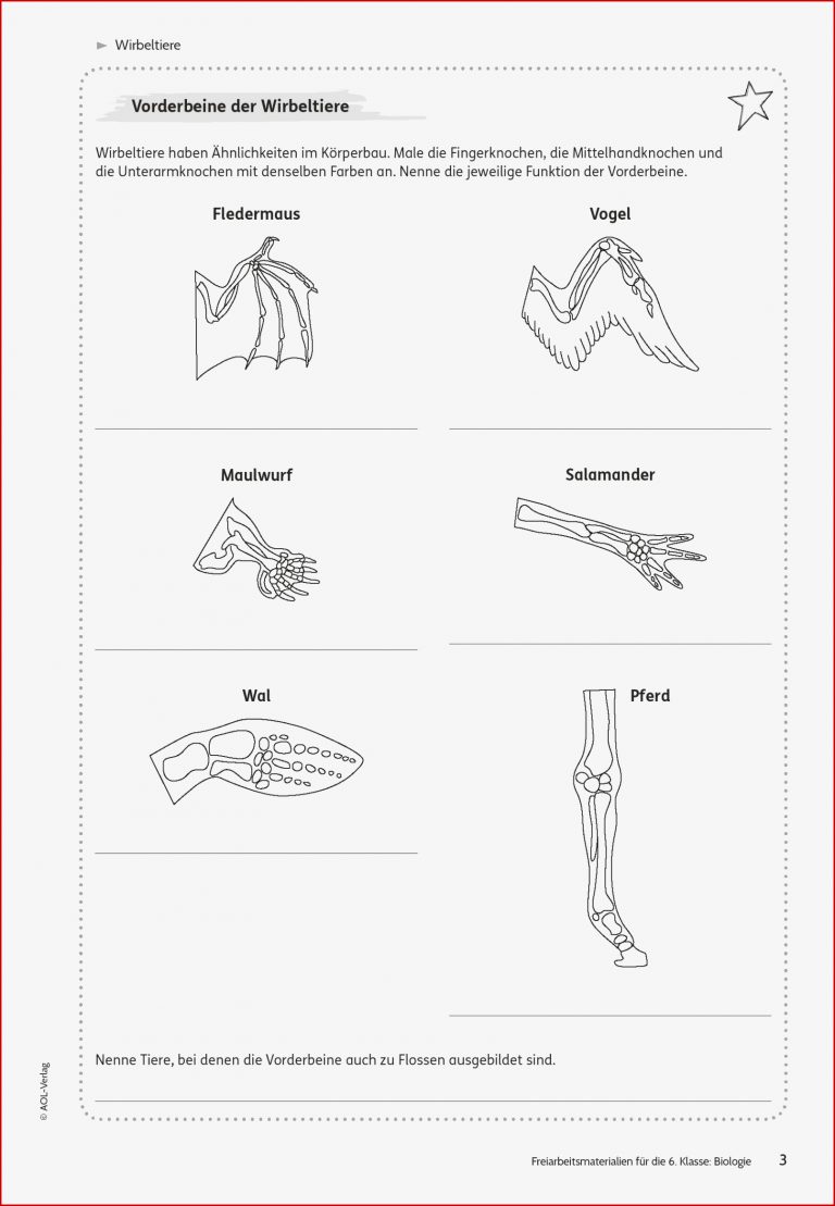 Sekundarstufe I Unterrichtsmaterial Biologie Tiere