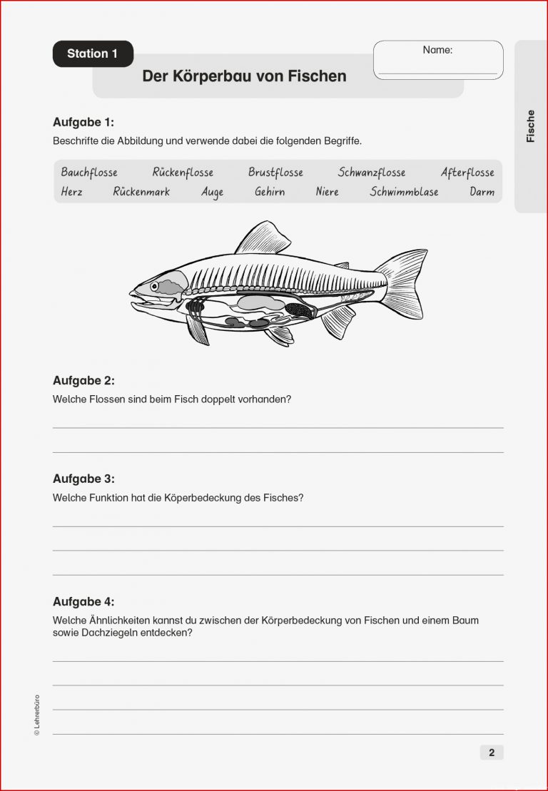 Sekundarstufe I Unterrichtsmaterial Biologie Tiere