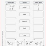 Sekundarstufe I Unterrichtsmaterial Biologie Weitere themen