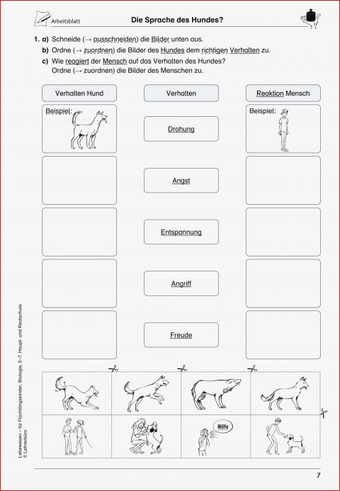 Sekundarstufe I Unterrichtsmaterial Biologie Weitere themen