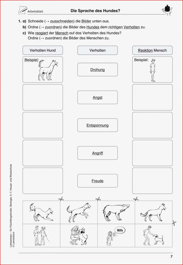 Sekundarstufe I Unterrichtsmaterial Biologie weitere Themen