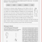 Sekundarstufe I Unterrichtsmaterial Geschichte Ur Und