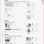 Sekundarstufe I Unterrichtsmaterial Mathematik Bruchrechnen