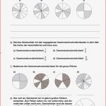 Sekundarstufe I Unterrichtsmaterial Mathematik Bruchrechnen