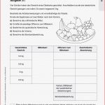 Sekundarstufe I Unterrichtsmaterial Mathematik Inklusion