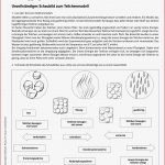 Sekundarstufe I Unterrichtsmaterial Physik Energie