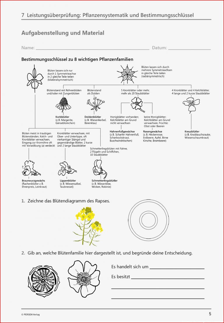 Sekundarstufe Unterrichtsmaterial Kostenlos als Download Sekundarstufe Unterrichtsmaterial