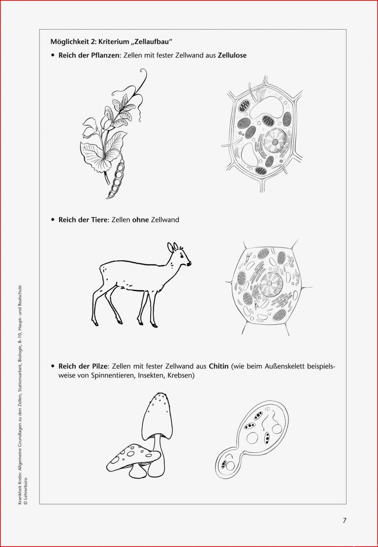 Sekundarstufe Unterrichtsmaterial Biologie