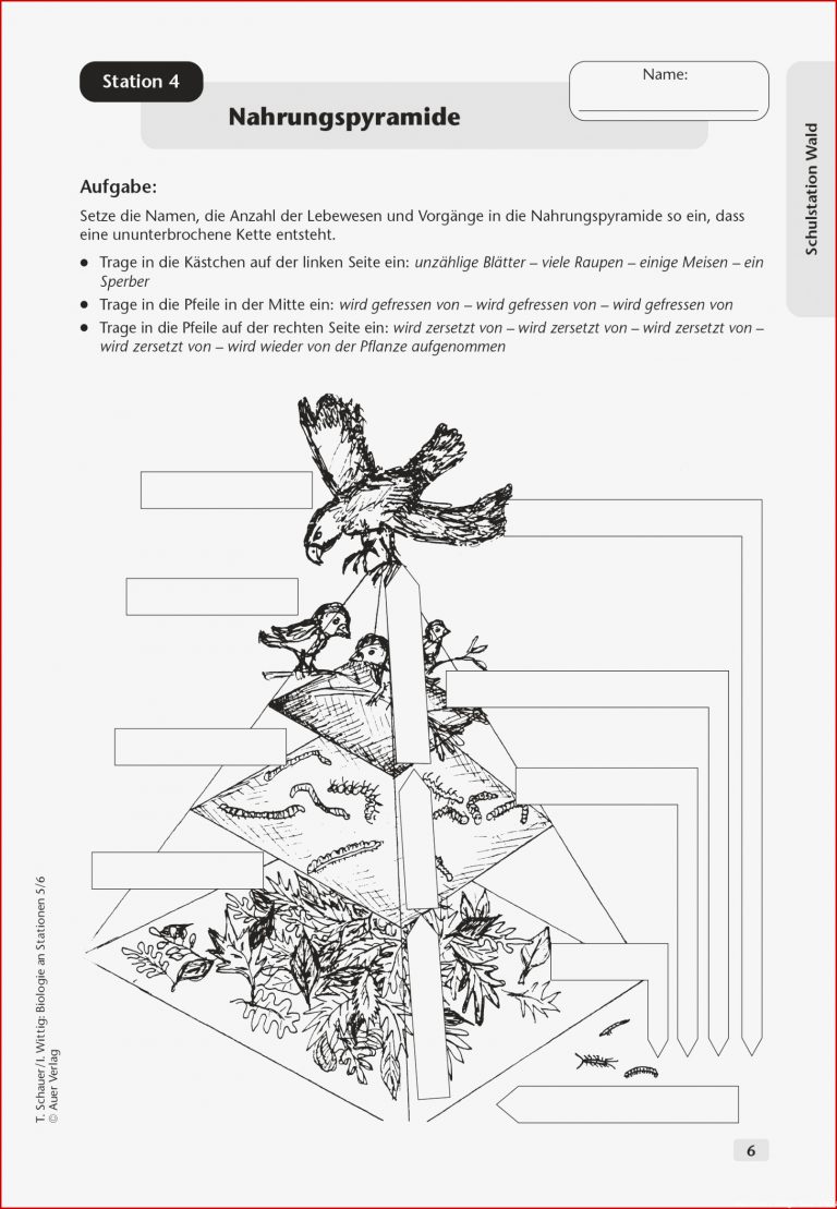 Sekundarstufe Unterrichtsmaterial Biologie