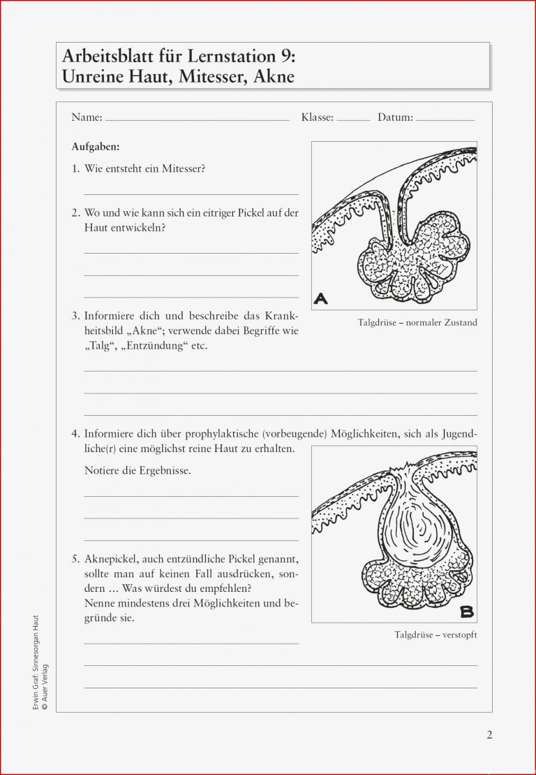 Sekundarstufe Unterrichtsmaterial Biologie KÃ¶rper Und Gesundheit