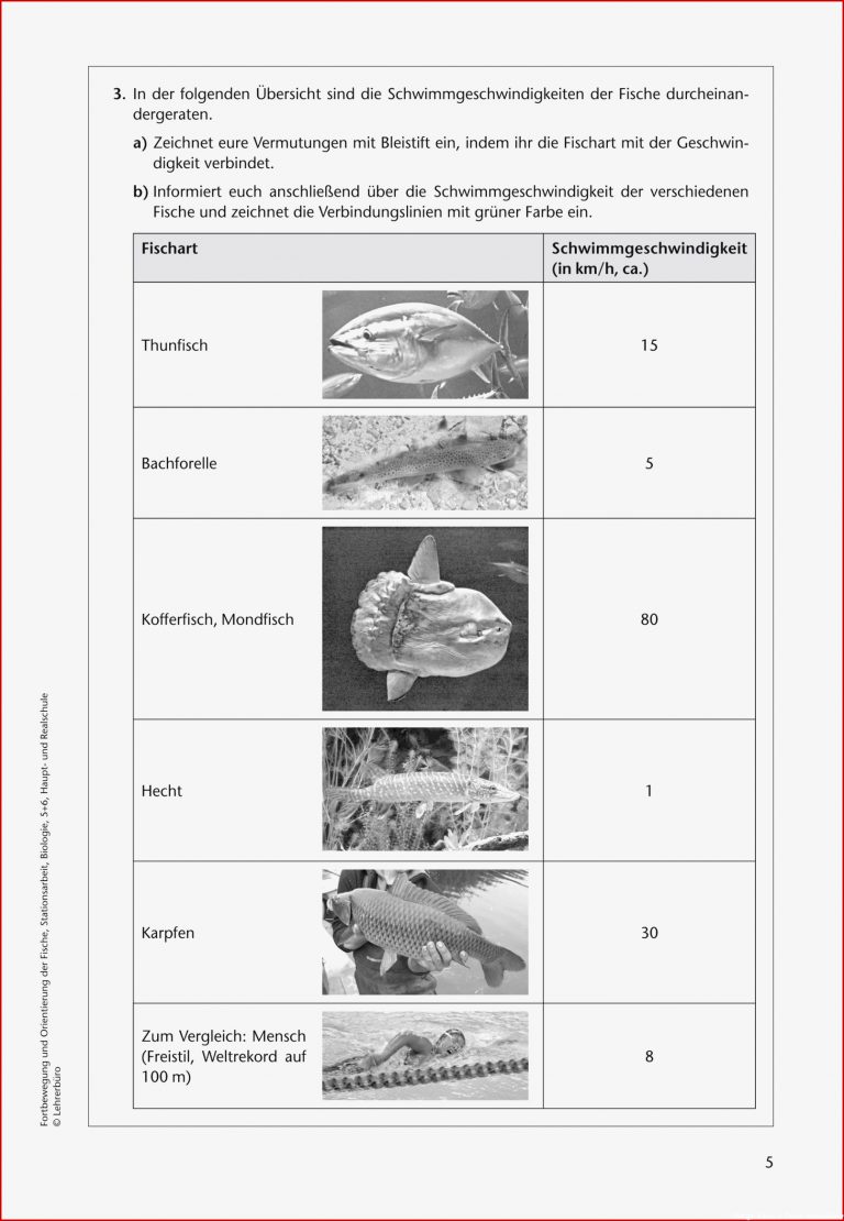 Sekundarstufe Unterrichtsmaterial Biologie Tiere