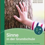 Sinne In Der Grundschule