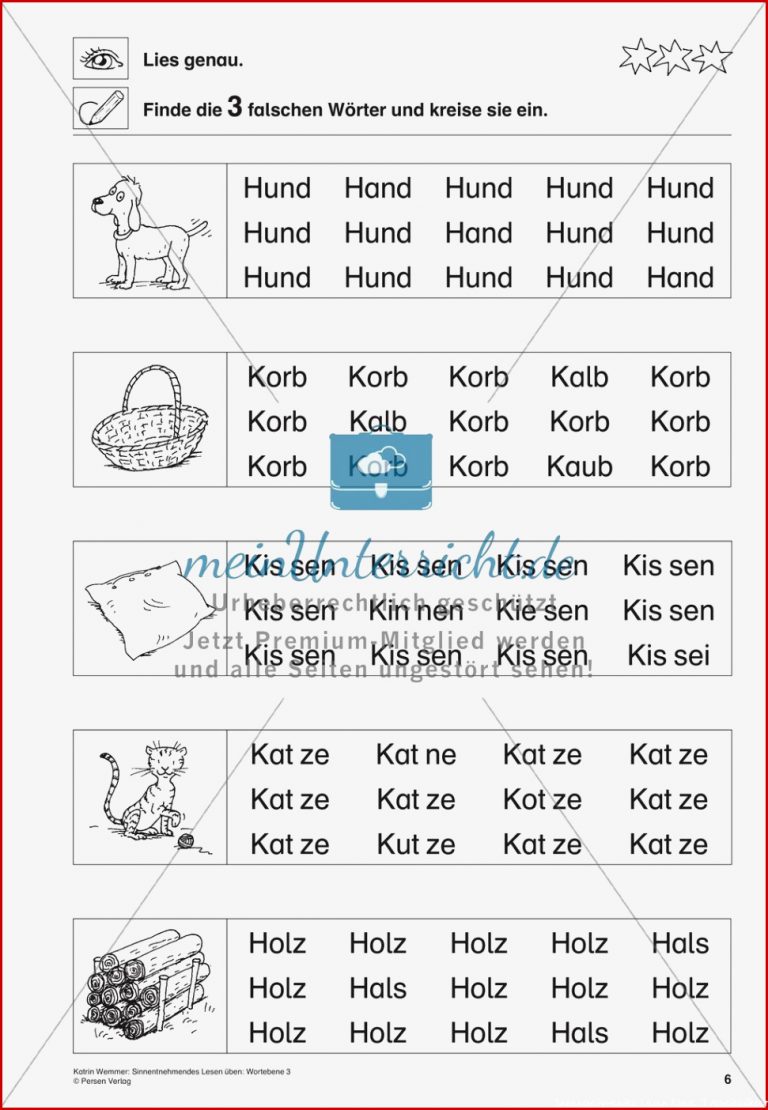 Sinnentnehmendes Lesen Wortebene Teil 3 Meinunterricht