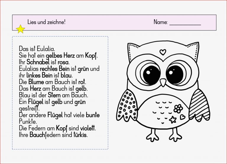 Sinnerfassendes Lesen Eulen – Unterrichtsmaterial In Den