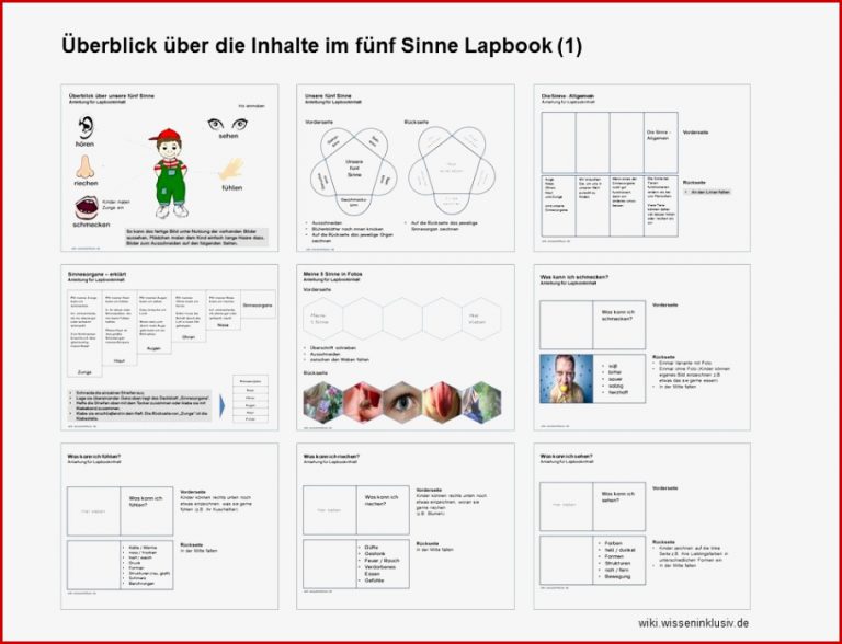 Sinnesorgane Arbeitsblätter Klasse 5 Debbie Preston Schule