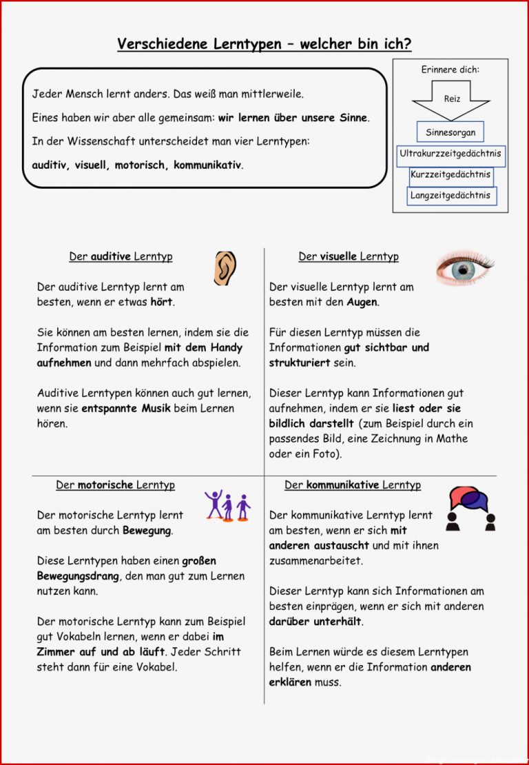 Sinnesorgane Des Menschen Arbeitsblätter Worksheets