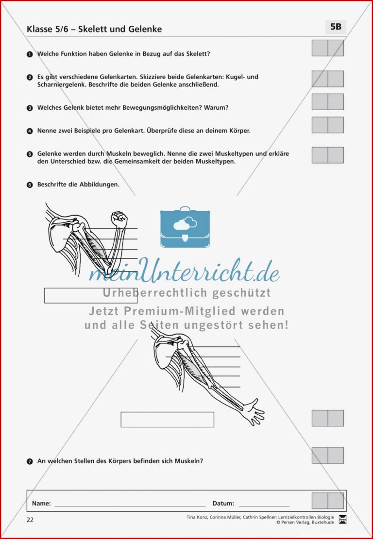 Skelett Arbeitsblatt Kostenlos Klasse 3