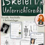 Skelett Unterrichtsreihe Arbeitsblätter Versuche