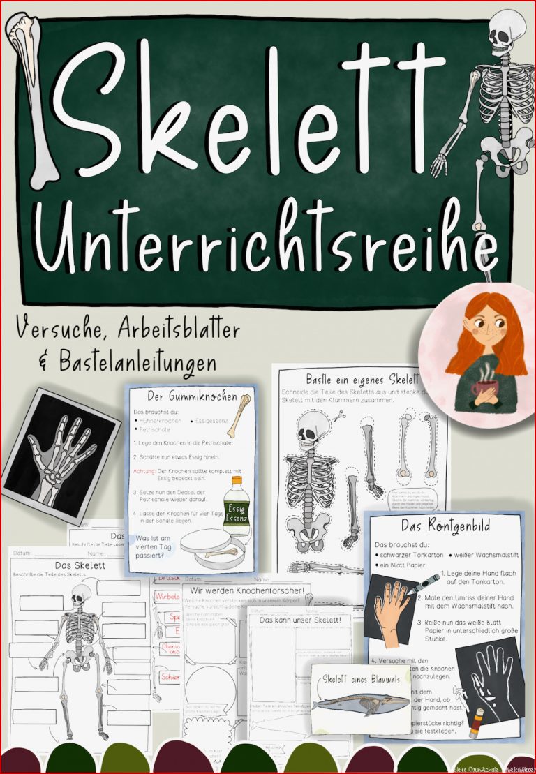 Skelett Unterrichtsreihe Arbeitsblätter Versuche