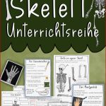 Skelett Unterrichtsreihe Arbeitsblätter Versuche