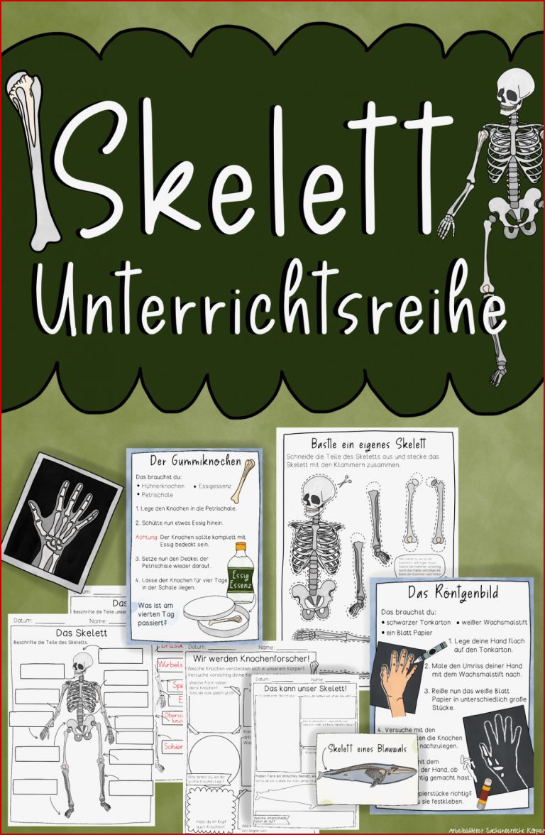 Skelett Unterrichtsreihe Arbeitsblätter Versuche