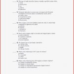 Skills Worksheet Concept Review Answers Also Wunderbar