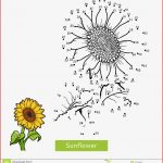 Sonnenblume Arbeitsblatt