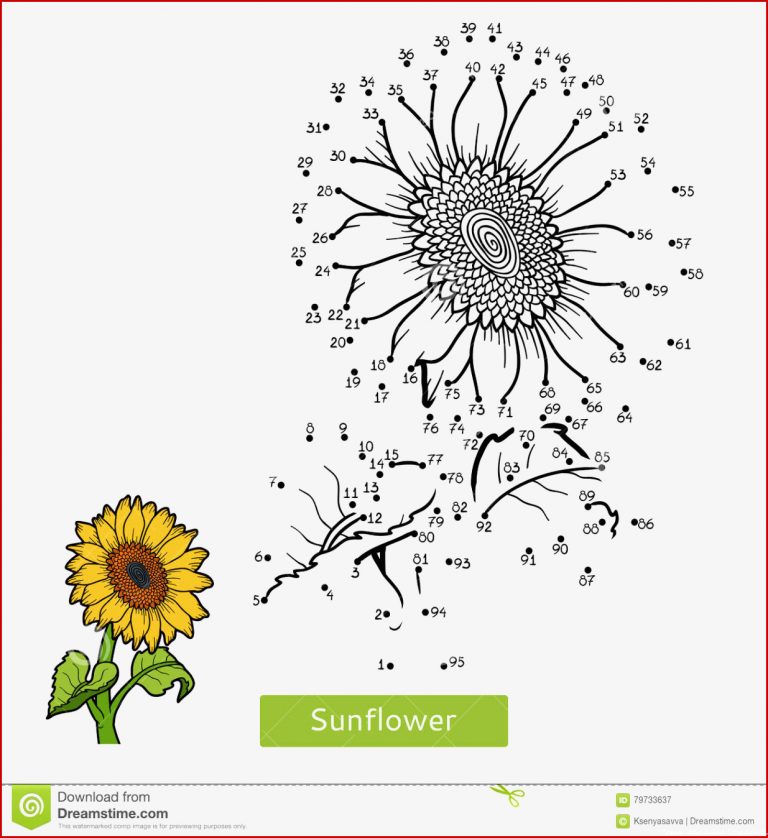 Sonnenblume Arbeitsblatt