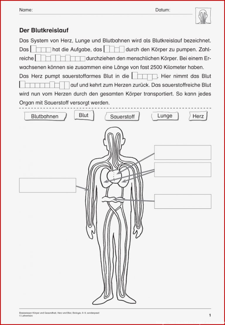 Sopäd Unterrichtsmaterial Biologie