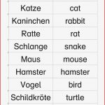 Sopäd Unterrichtsmaterial Englisch