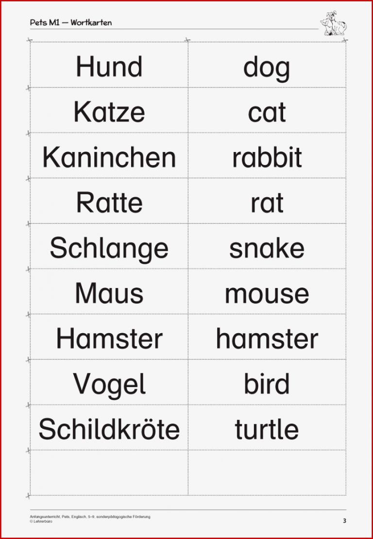 Sopäd Unterrichtsmaterial Englisch