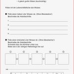 Sopäd Unterrichtsmaterial Mathematik Bruchrechnung