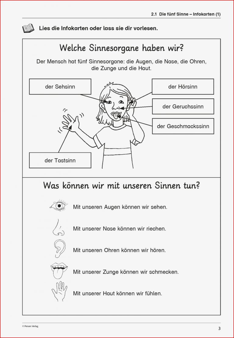 SoPäd Unterrichtsmaterial Sachunterricht Körper und