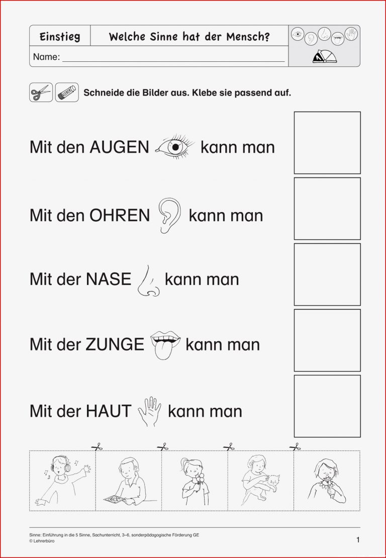 Sopäd Unterrichtsmaterial Sachunterricht Körper Und Gesundheit