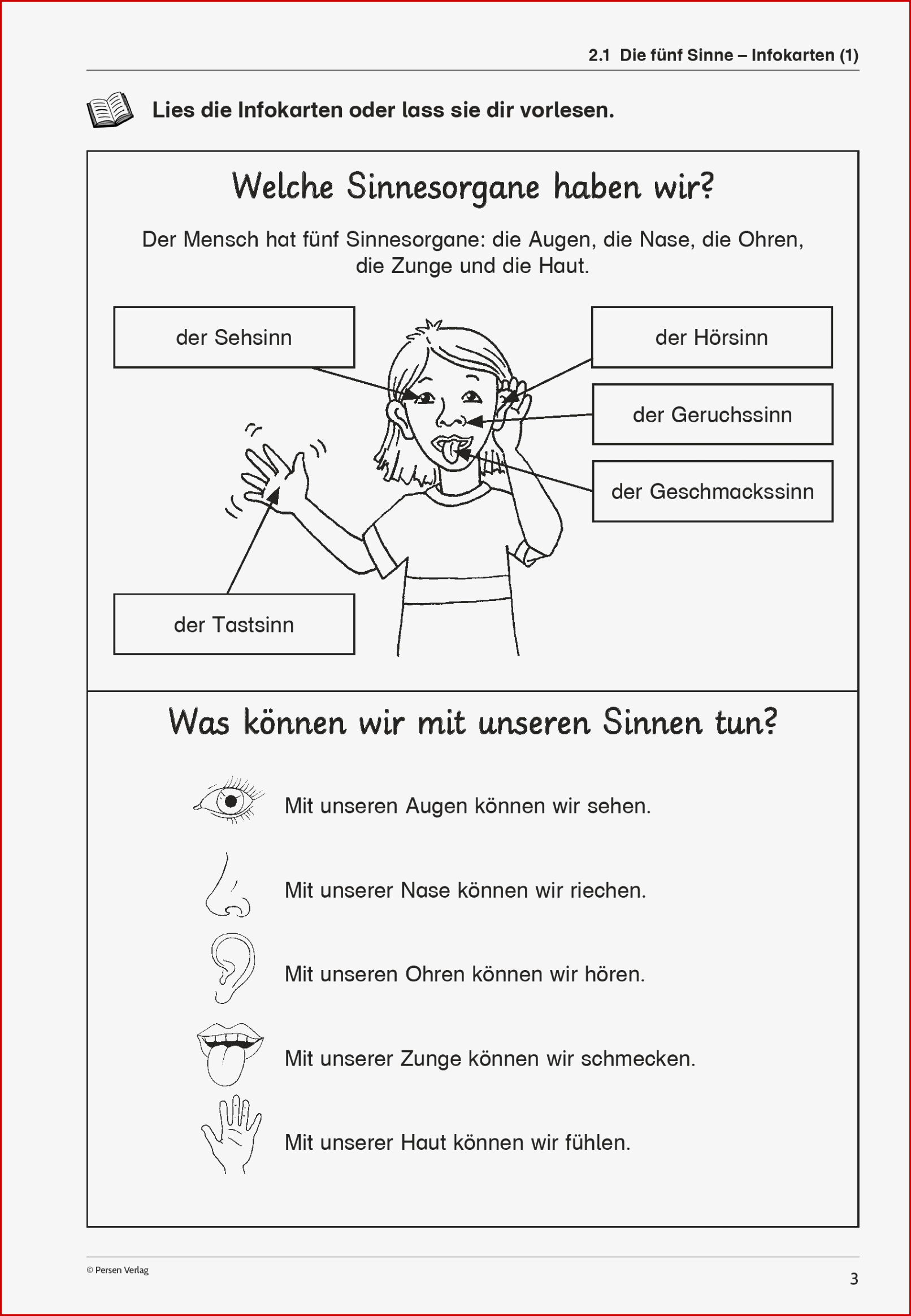 Sopäd Unterrichtsmaterial Sachunterricht Körper Und