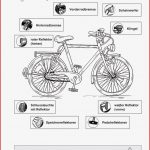 Sopäd Unterrichtsmaterial Sachunterricht Verkehrserziehung