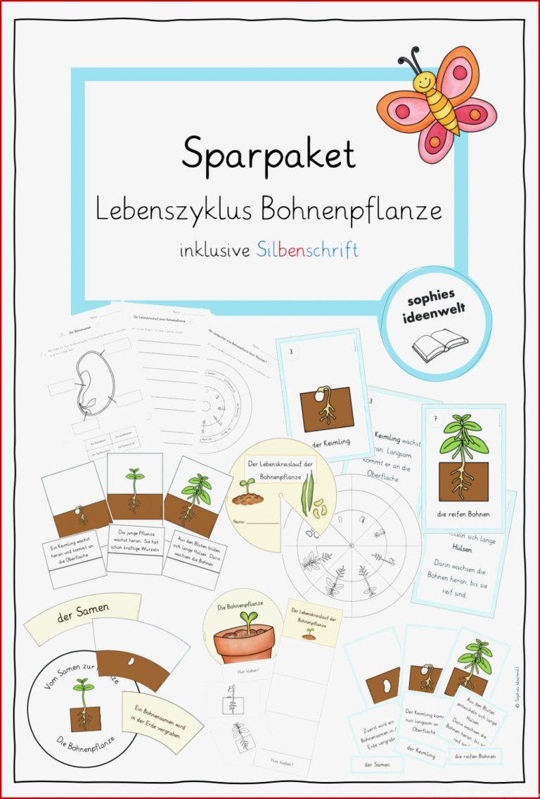 Sparpaket Lebenszyklus Bohnenpflanze – Grundschule