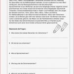 Sport · Arbeitsblätter · Grundschule · Lehrerbüro