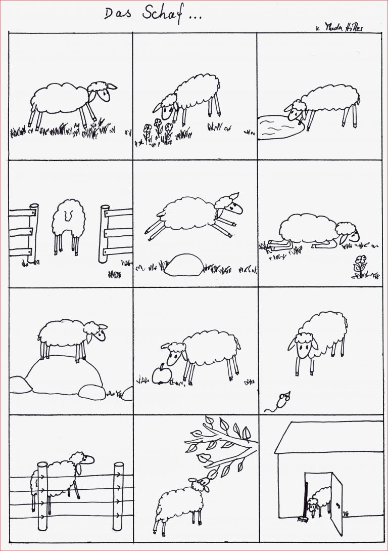 Sprachanfang Thema Schafe größere Einheit