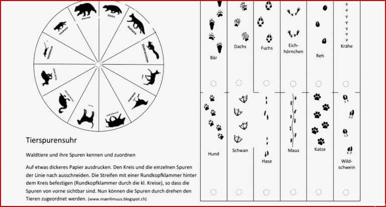 Spurenuhr pdf