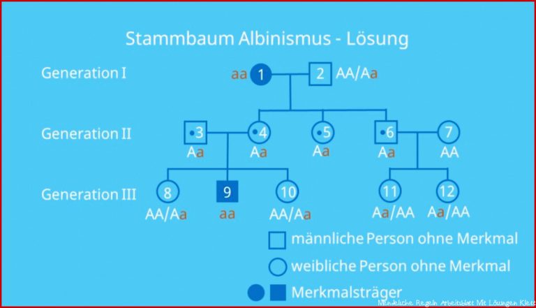 Stammbaumanalyse Aufgaben â¢ mit Lösungen Â· [mit Video]